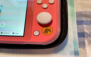 Dit lijkt misschien op een normale roze <a href = https://www.marioswitch.nl/Switch-spel-info.php?t=Nintendo_Switch_Lite target = _blank>Switch Lite</a>, maar het <a href = https://www.marioswitch.nl/Switch-spel-info.php?t=Animal_Crossing_New_Horizons target = _blank>Animal Crossing</a>-logo staat ook aan de rechterkant.