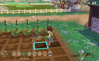 Story of Seasons A Wonderful Life: Screenshot