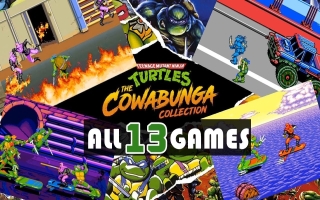 Dezee collectie bevat maar liefst 13 TMNT-games!